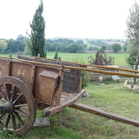 Farm stay Style